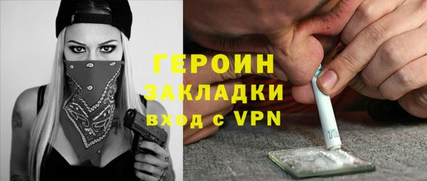 шишки Инта