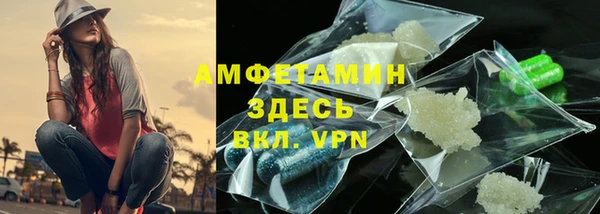 шишки Инта