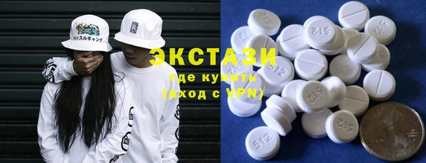 шишки Инта