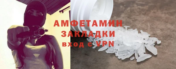 шишки Инта