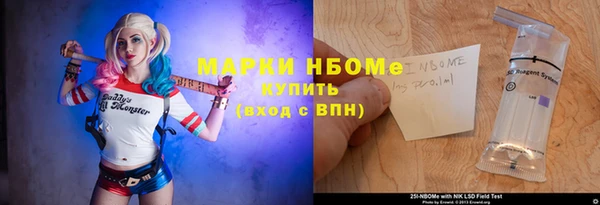шишки Инта