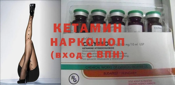 шишки Инта