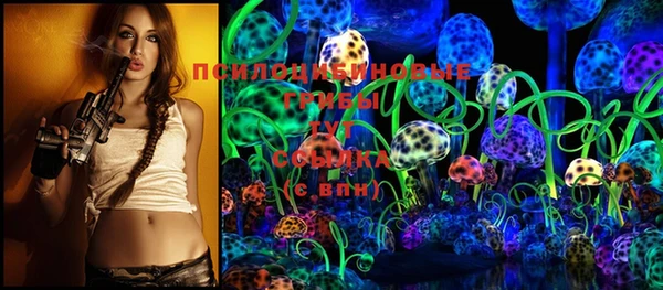шишки Инта