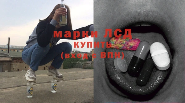 шишки Инта