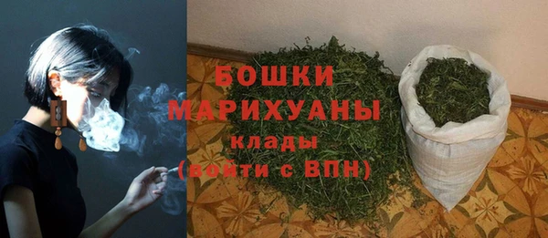 шишки Инта