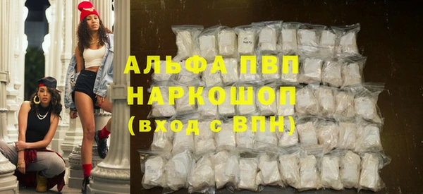 шишки Инта