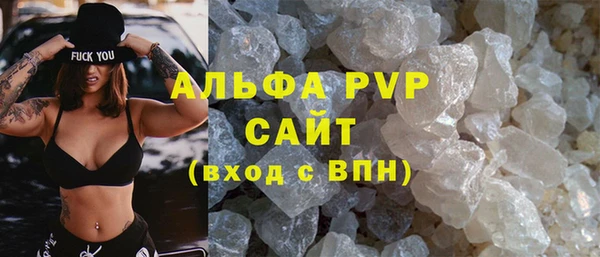 шишки Инта