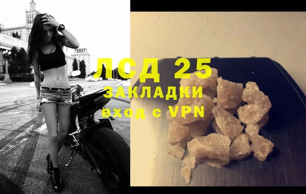 шишки Инта