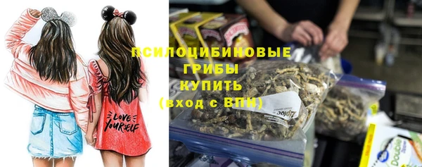 шишки Инта