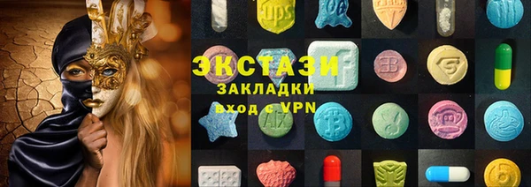 шишки Инта