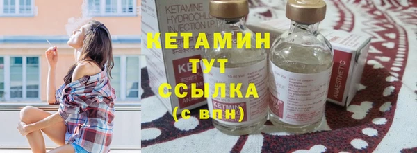 шишки Инта