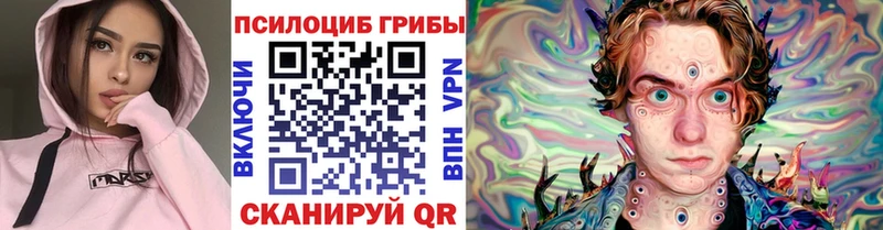 Галлюциногенные грибы Psilocybine cubensis  мориарти как зайти  Ессентуки 